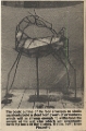 19800606 ENZO PLAZZOTTA'S FOAL OUTLINE CN